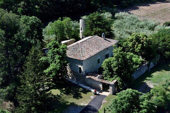 Moulin Fortune Arizzi - Huile d'Olive Pur Terroir